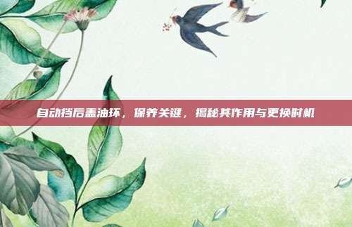 自动挡后盖油环，保养关键，揭秘其作用与更换时机