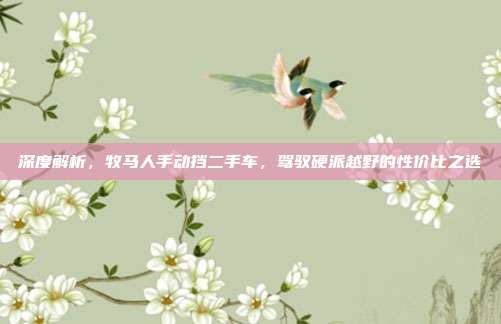 深度解析，牧马人手动挡二手车，驾驭硬派越野的性价比之选
